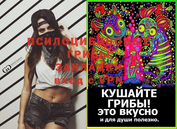 твердый Волоколамск