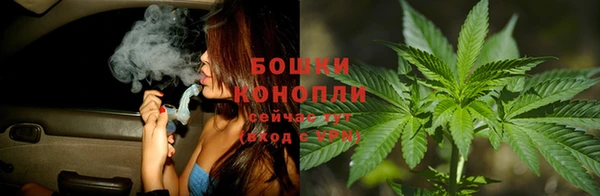 соль ск Волосово
