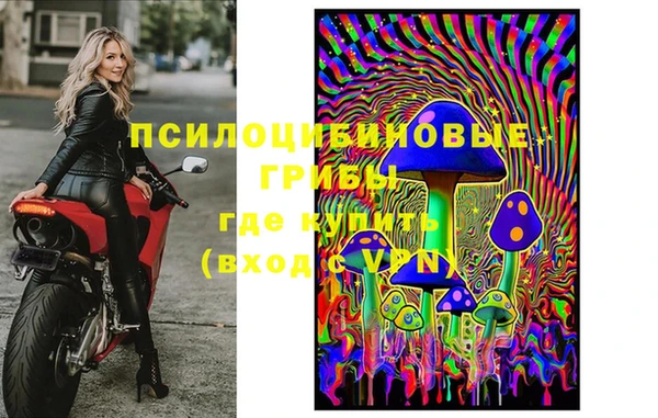 соль ск Волосово