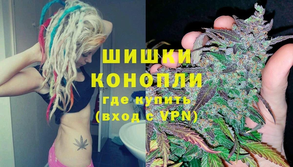 соль ск Волосово