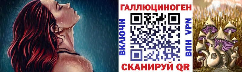Псилоцибиновые грибы Psilocybe  Пятигорск 