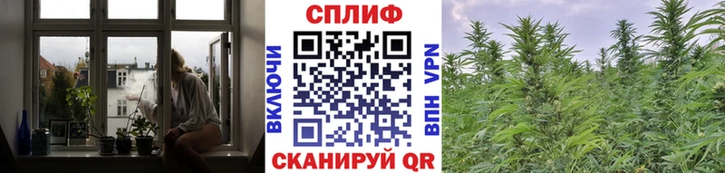 Марихуана конопля  blacksprut сайт  Пятигорск 